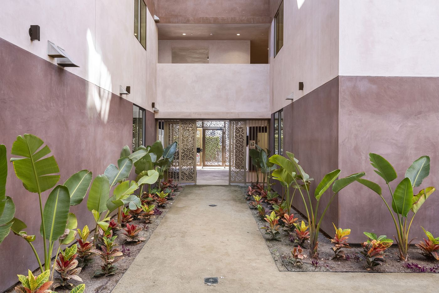 The open-air courtyard walkway between the two wings, with planted beds of broad-leaf plants on both sides.